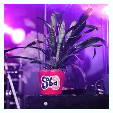 soba9